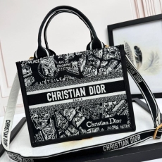 Christian Dior Shopping Bags